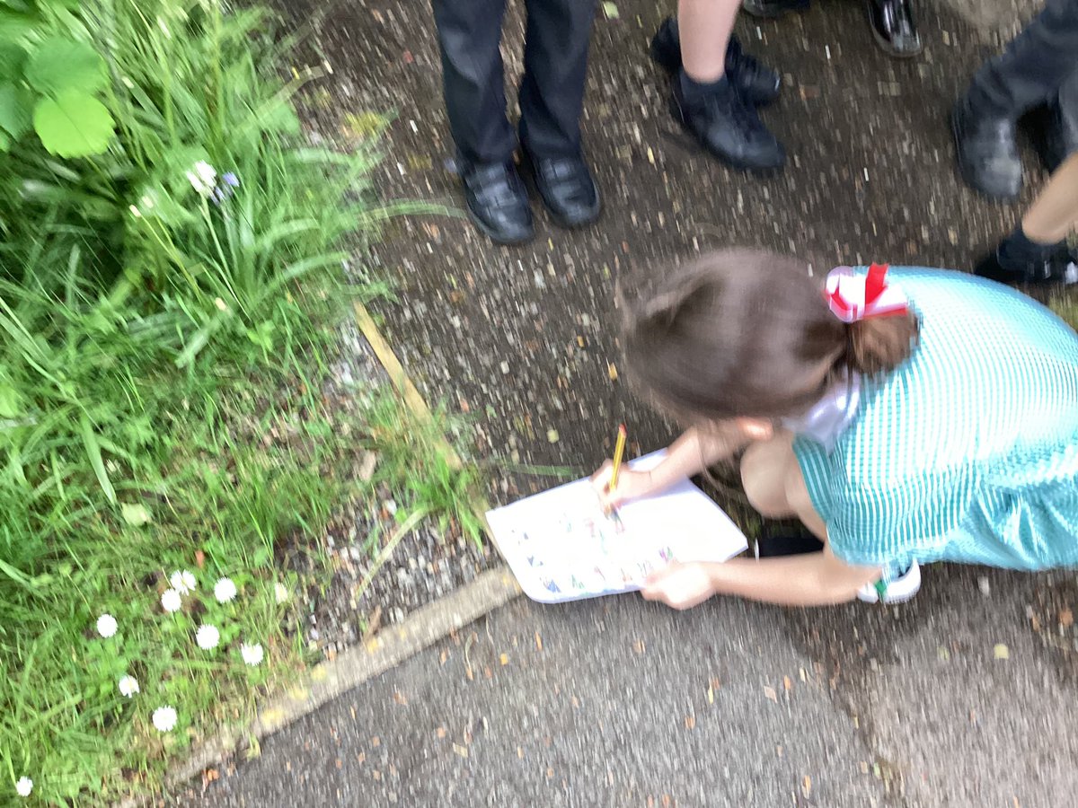StMM_2021's tweet photo. Year 3/4 used plant identification keys to identify different plants around our school #classification #greenfingers #lookingclosely https://t.co/Yj69q37XoU