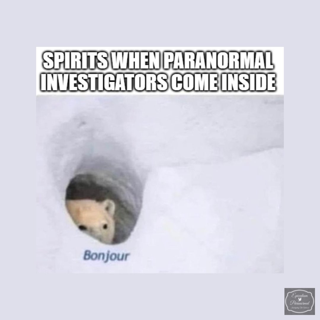 🤪 Happy Monday, all! May your day feel fast, and your coffee taste extra strong! #funny #meme #laughwithus #paranormalinvestigators #spirits #ghosts #funnybecauseitstrue