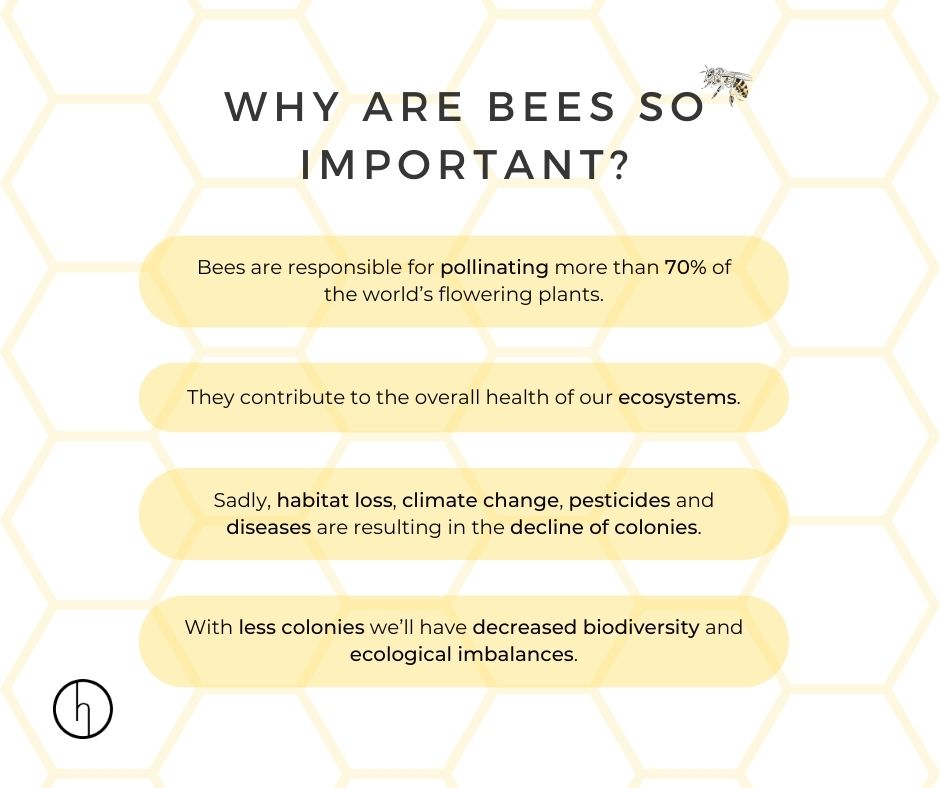 Why are Bees important? Without bees many foods & flowers we love wouldn't exist. They sustain biodiversity, and provide food for animals. Protect our bees. Whether it's planting bee-friendly flowers, or advocating for sustainable practices, every little bit helps! #WorldBeeDay