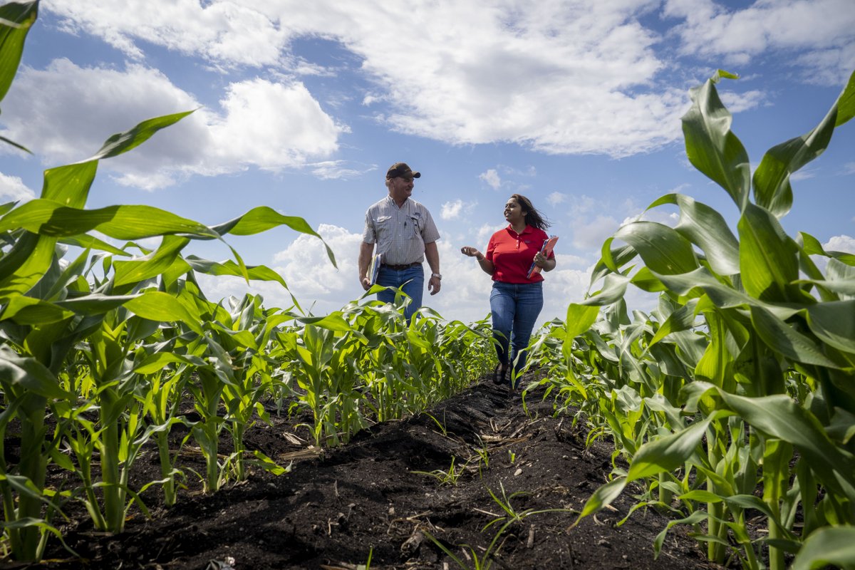 Farmers: please complete your Agricultural Yield Surveys from @usda_nass from now through Nov. The survey contributes to the Crop Production report, capturing data on changes in yield that occur due to weather, pests, disease, and other factors. #AgStats nass.usda.gov/Surveys/Guide_…