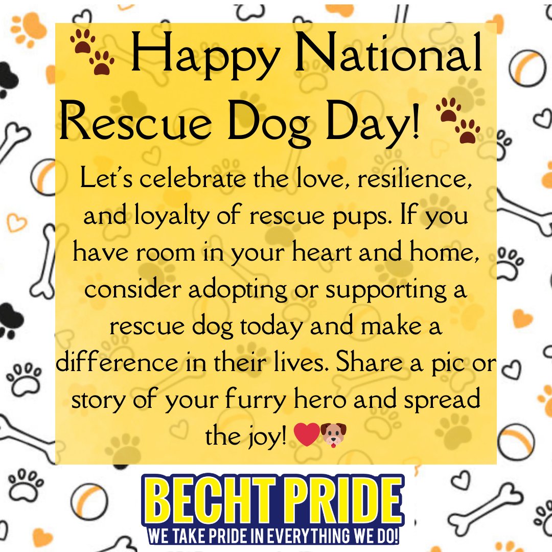 🐾 On May 20th, celebrate #NationalRescueDogDay! These furry heroes bring love, joy, and endless possibilities into our lives. From comforting us to aiding those in need, rescue dogs are truly invaluable companions.  🐶❤️ #RescueDogs #AdoptDontShop  #bechtpride