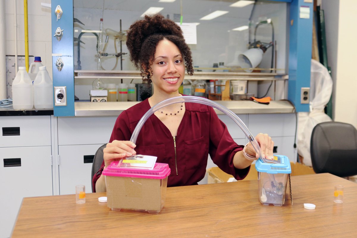 #DYK that #BrockU has a Bee Lab? 🐝

As part of her PhD, Biological Sciences student Lyllian is studying how male carpenter bees interact with one another and if hormones influence their (bee)haviour. loom.ly/jVGRtOI

#WorldBeeDay 

@BrockUFMS
@BrockGradStudy
@FAO