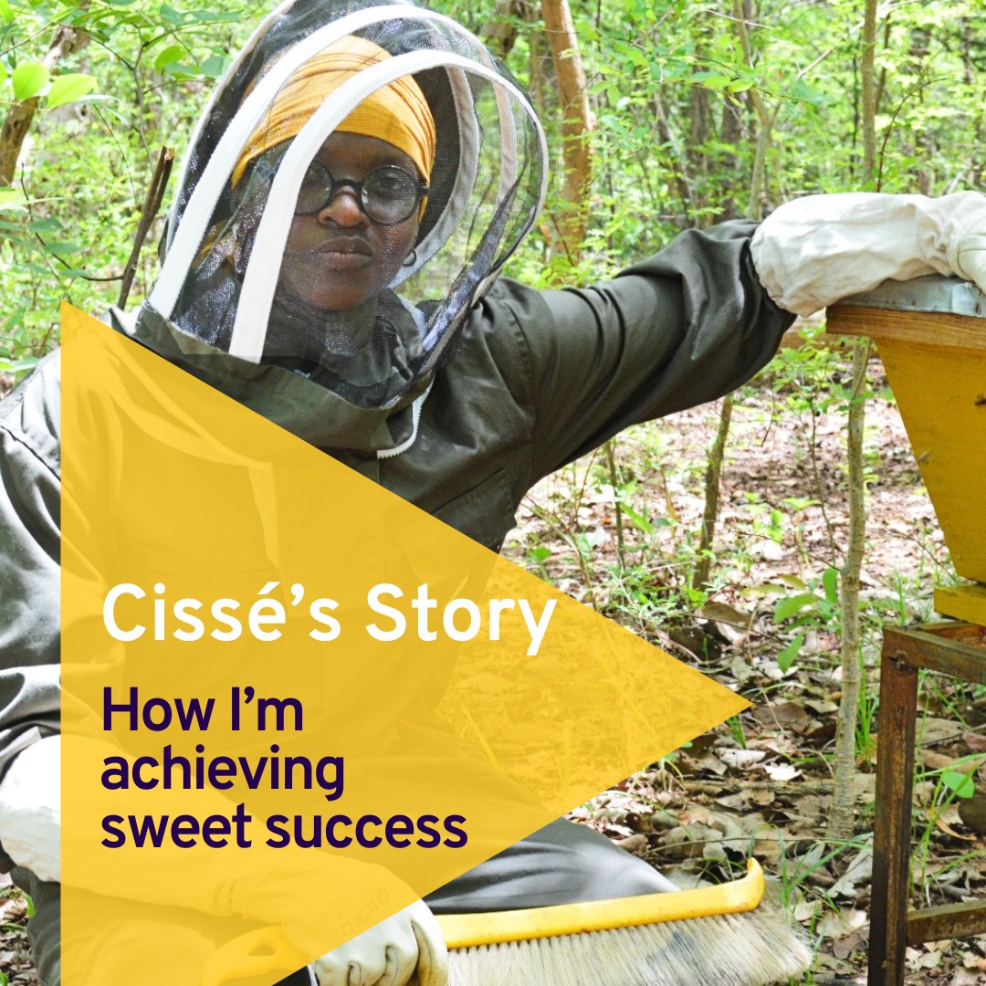 War in Côte d’Ivoire dashed Cissé Marbré's educational hopes, but she persevered. With @ilo training, she's now a top entrepreneur, selling honey nationwide. 🍯 Read her story: ow.ly/hBrX50RFmlP #WorldBeeDay #SavetheBees 🐝