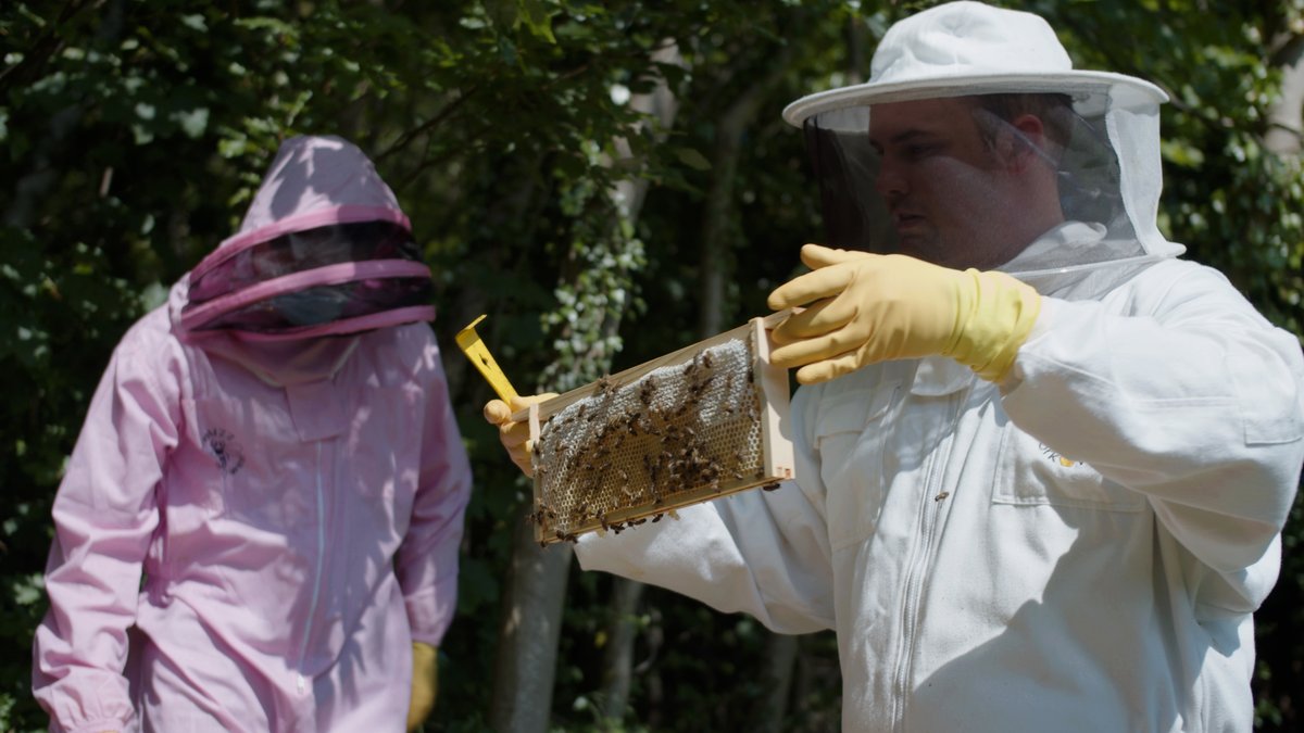 We 💗 #bees @Caterham_School You can find them everywhere, both inside and out! We know how important our little striped friends are to this planet so on #WorldBeeDay we are giving them an extra round of applause - with a little help from our amazing catering team!