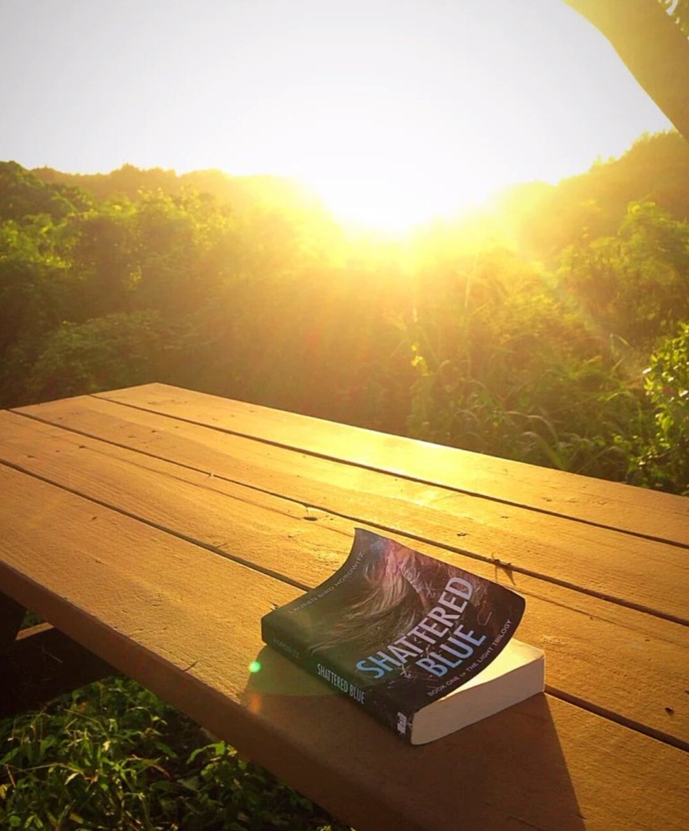 birdaileen's tweet photo. Sunshine & stories ✨📘🌞 Grab your copy of award-winning #ShatteredBlue here ➡️ https://t.co/W8GLFuD5bG #BooksOfTwitter #books #YA #TheLightTrilogy #readers #tbr https://t.co/vU67lYJ2R4