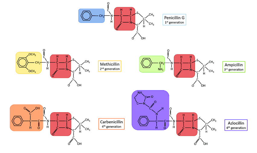 💊 AntiSTAPHYLOCOCCAL penicillin
🔸Dicloxacillin
🔸Methicillin
🔸Nafcillin
🔸Oxacillin

💉 AntiPSEUDOMONAL penicillin
🔸Piperacillin
🔸Ticarcillin
🔸Carbenicillin

#MedEd #MedX #MedTwitter #antibiotics #IDTWitter #IDPearls #ClinicalPearl