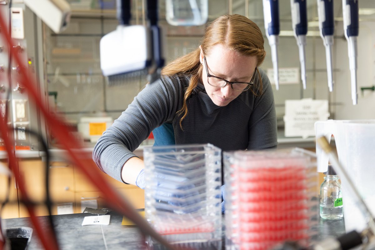 'If you're looking for a type of chemistry, microbes have probably figured out how to do it.' - Madeline Hayes @UWMadison & @GLBioenergy. She's researching how to use groups of microbes to transform waste from biofuel production into valuable chemicals: energy.wisc.edu/news/graduate-…