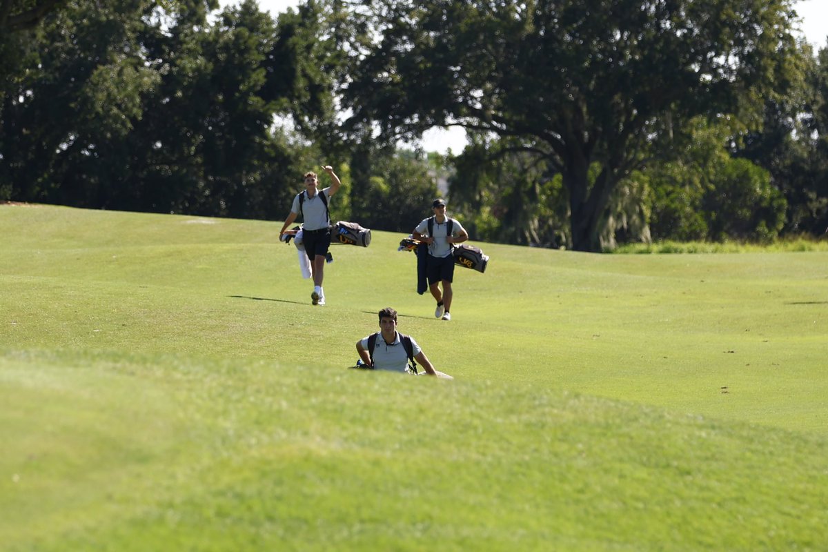 ⛳️Men’s Golf enjoying the beautiful Florida weather for their practice round this morning 🌞 #WingsUp #d2festival