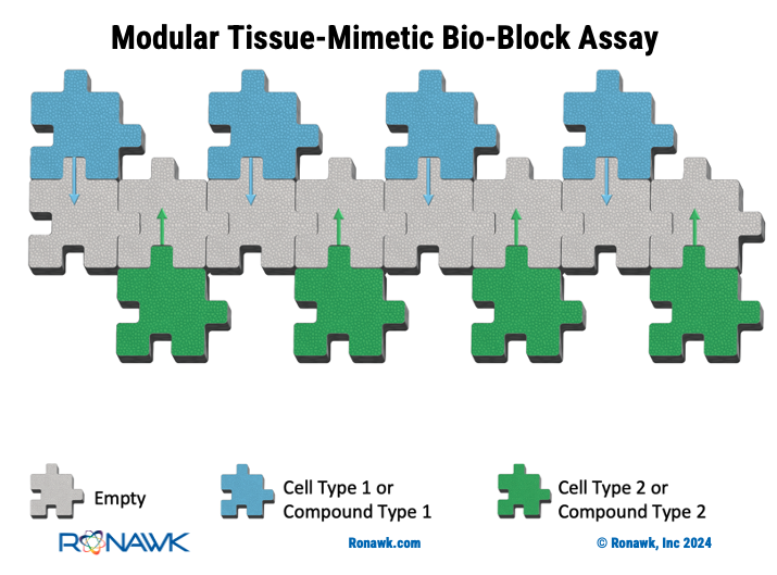 The capabilities of Bio-Blocks are only limited by scientific knowledge and imagination. Find out what our collaborators already know.  Contact us to delve into this exciting frontier! Email us today: info@ronawk.com

#cellculture, #tissueengineering, #stemcells