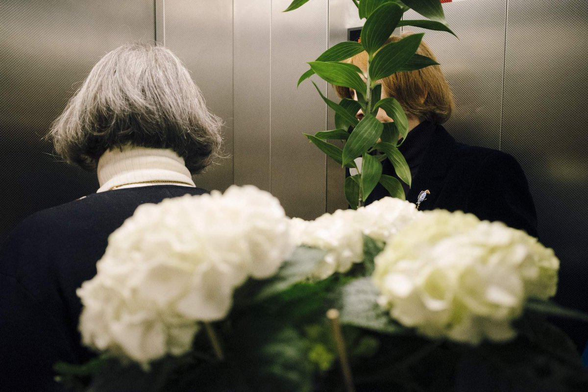 DanielTschitsch.9dcc.eth tweet media