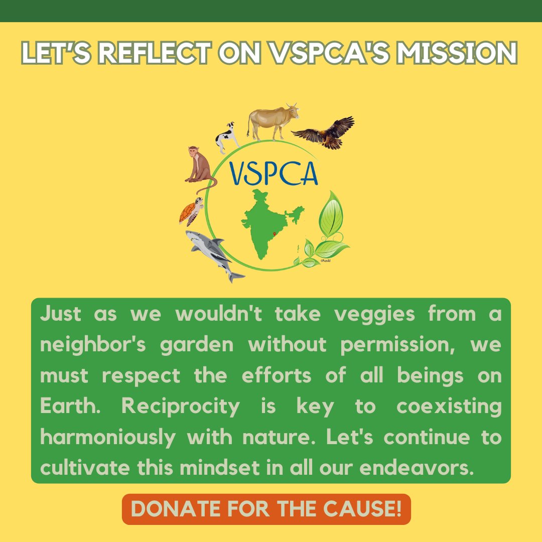 🐝 Happy World Bee Day! Let's grow a pollinator garden to support our buzzing friends! 🌻 #WorldBeeDay #PollinatorGarden #VSPCA