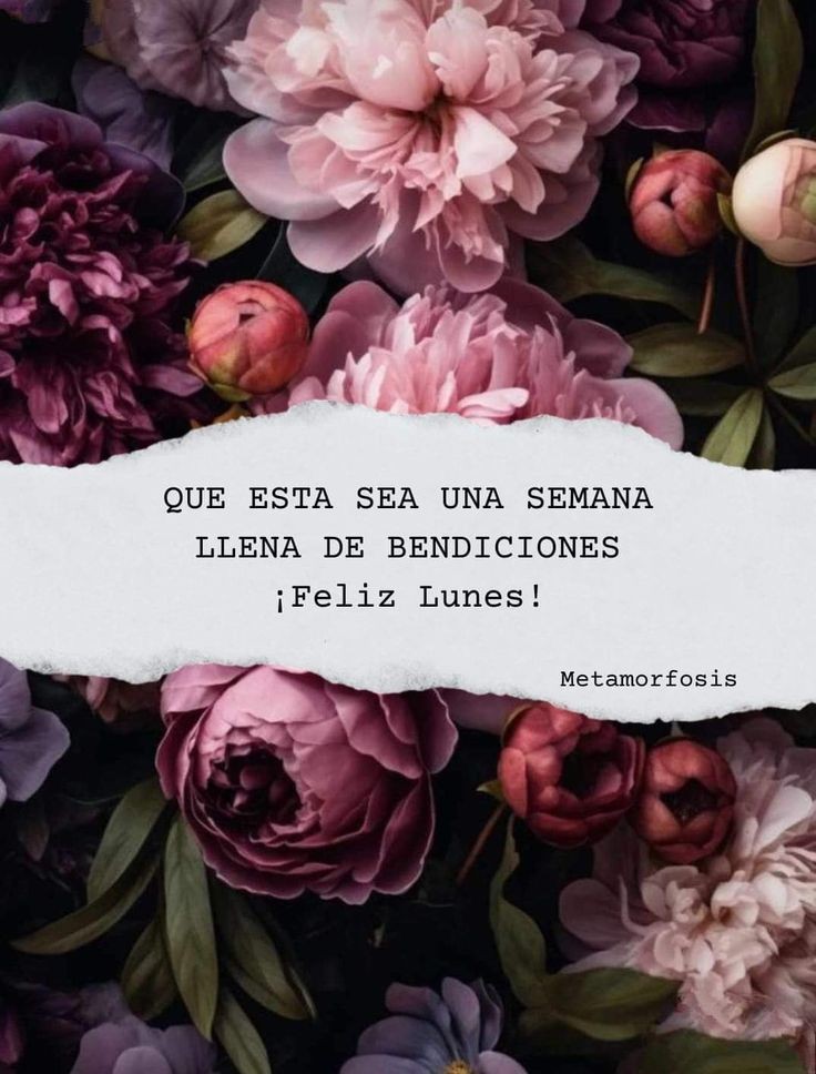 Buenos días mi gente🌞☕️💙🩵
Feliz y bendecido inicio de semana🙏🏻🧿✨️