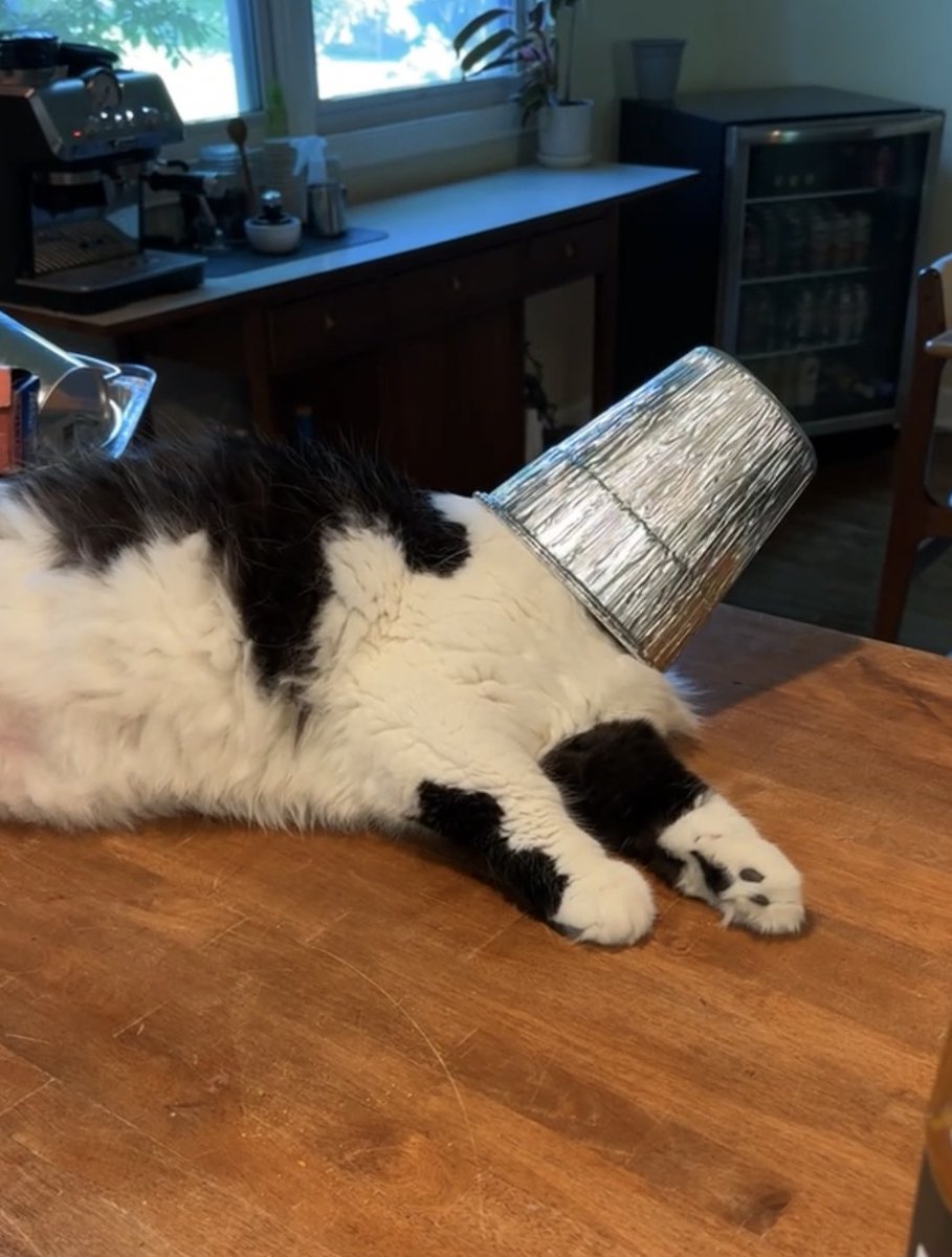 なぜこんなことをしたのか