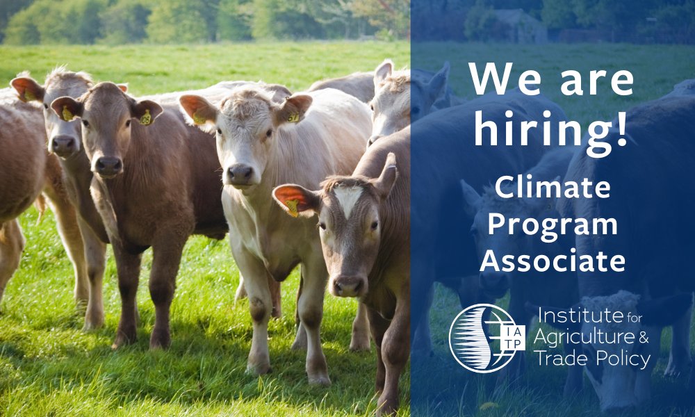 We are #hiring a Climate Program Associate to expand our work tracking the greenhouse gas emissions and climate-risk reporting of major meat and dairy companies! Please read the full job posting for more information and instructions on how to apply: iatp.org/about/jobs-and…