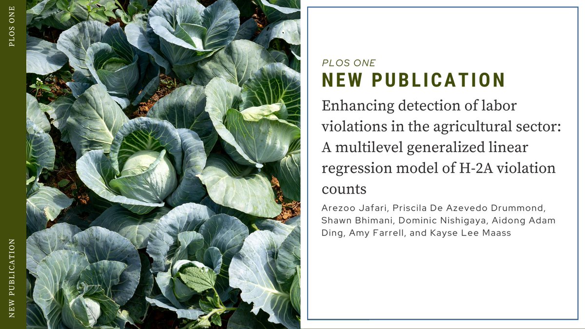 ORSJ_Lab tweet media