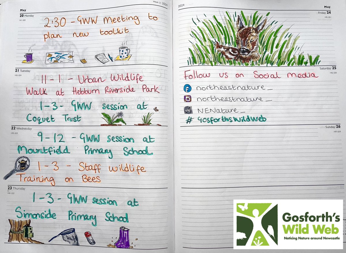This week in our #GosforthsWildWeb diary 🌻Community group session with @CoquetTrust 🦔 School sessions at Mountfield and Simonside Primary School 🥀 Urban Wildlife Walk at Hebburn Riverside Park - only a few tickets left ➡️ ow.ly/hCeT50RMVlW #NationalLotteryHeritageFund