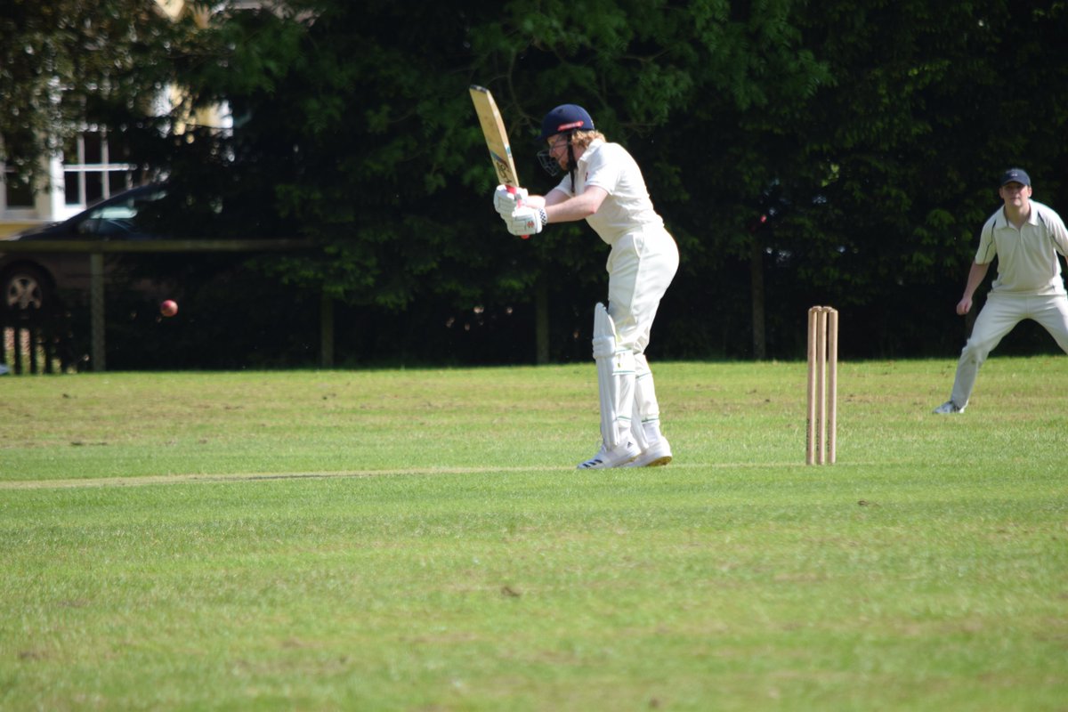 The Bushmen tweet media