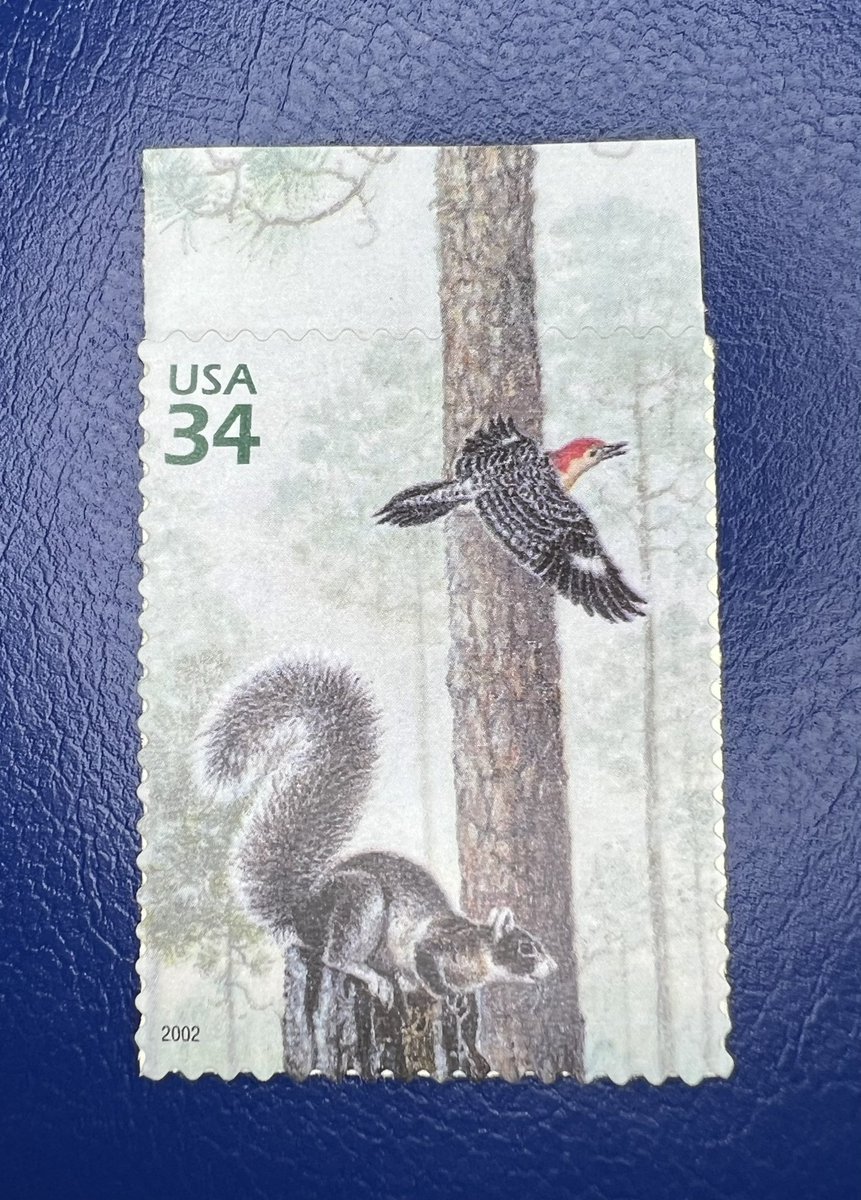 bpsstamp's tweet photo. United States of America
Series
Nature of America : Longleaf Pine Forest
Catalog Codes
Mi:US 3571, Sn: US 3611c, Yt: US 3313,
WAD:US062.02
Issued on
2002-04-26
#squirrels #squirrelsonstamps #philately https://t.co/oHs40VwFvu