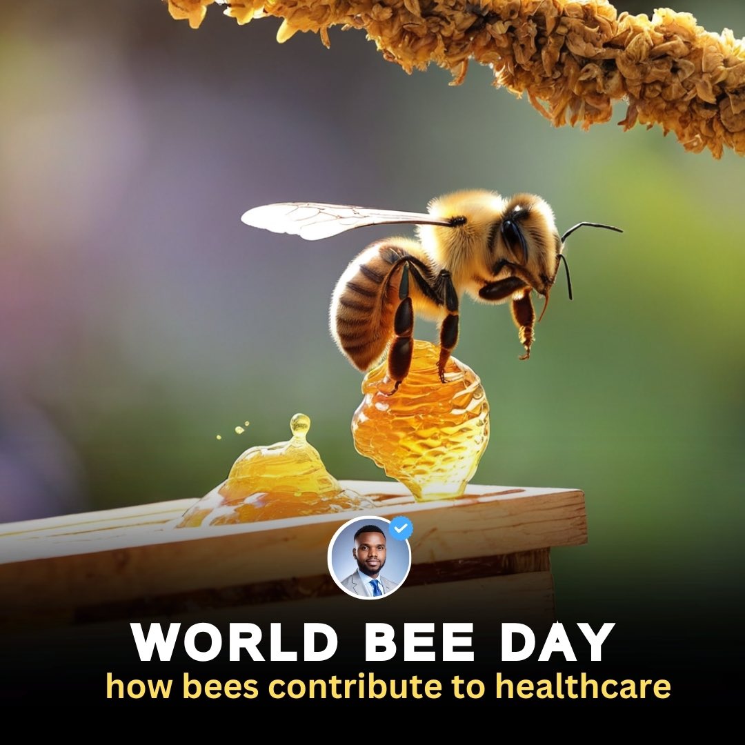 To celebrate World Bee Day, I want to share the variety of bee products that have been traditionally used for their health benefits. Here are five notable bee-derived health products and the proposed ailments they are believed to treat: Note: my source is anecdotal A thread