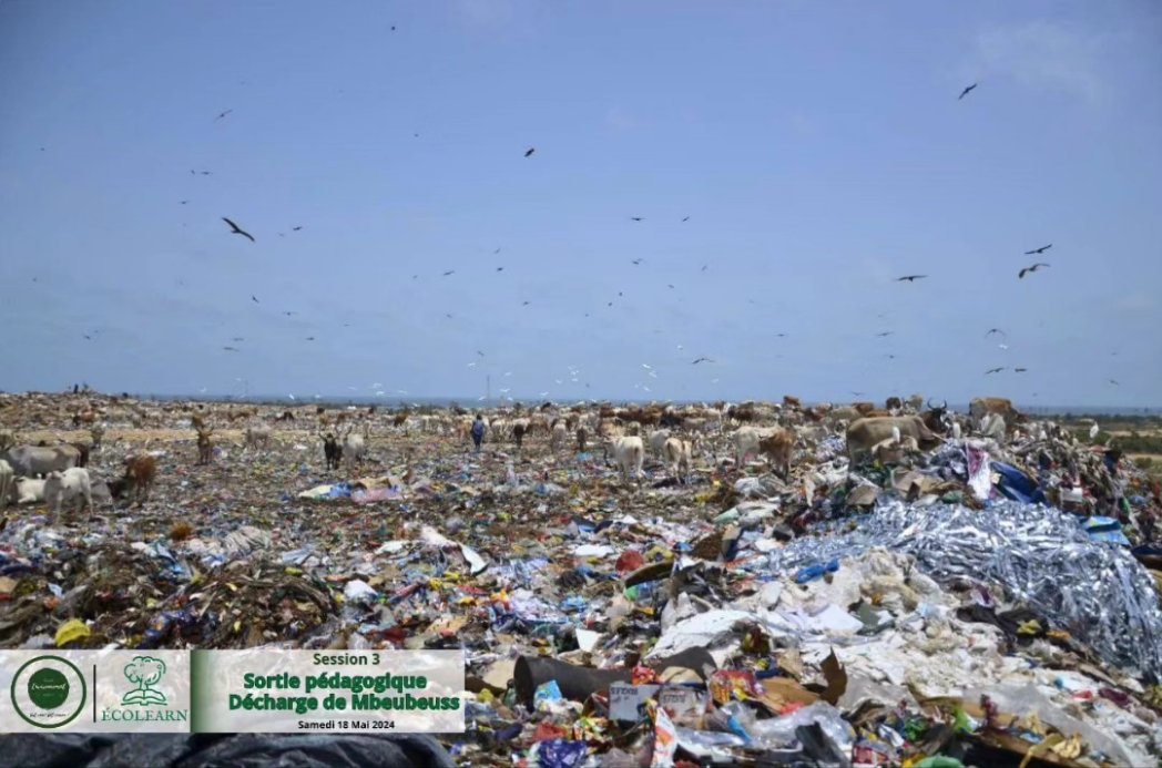 Club Environnement Yoff tweet media