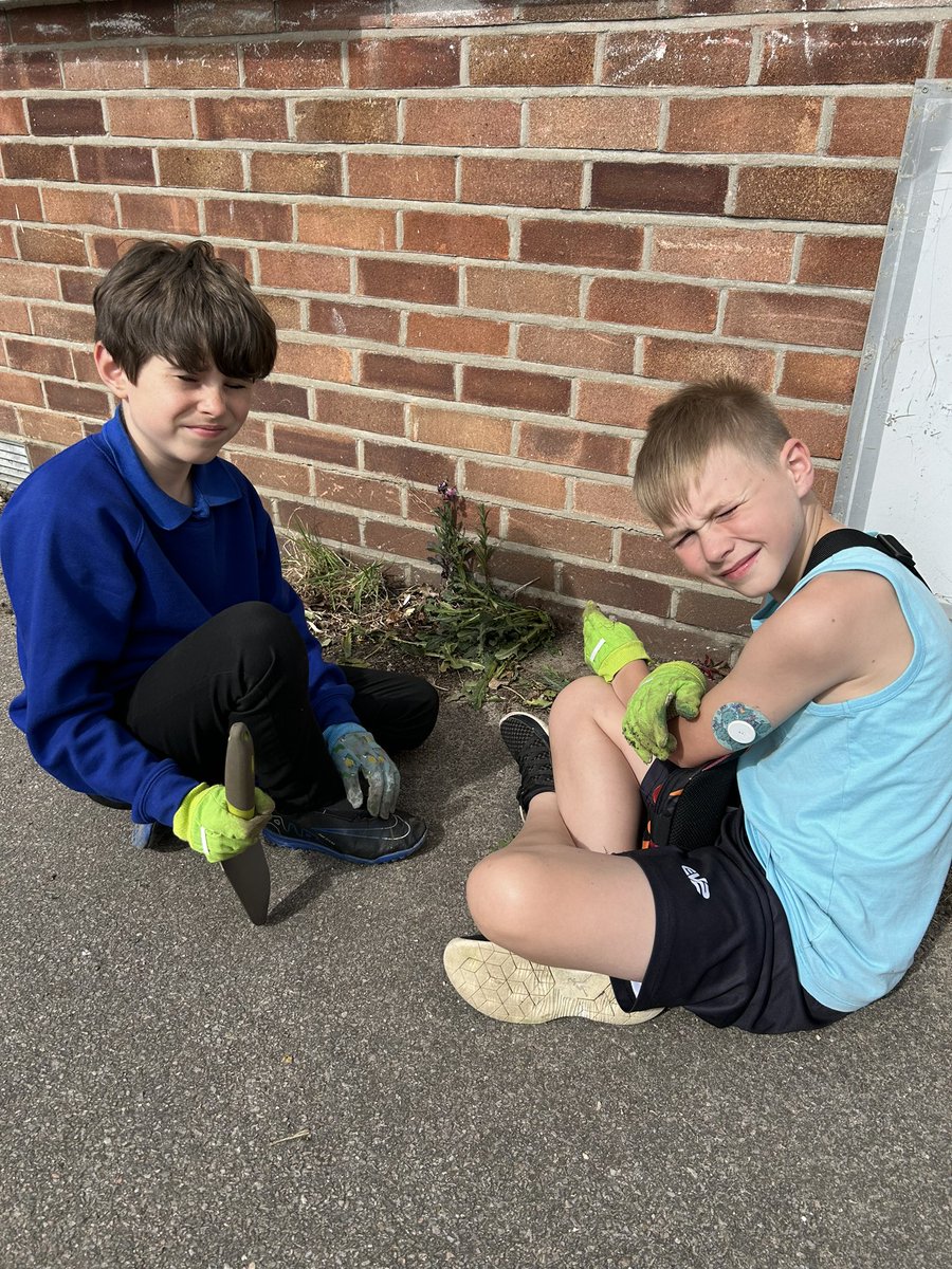 Elaine Milne tweet media