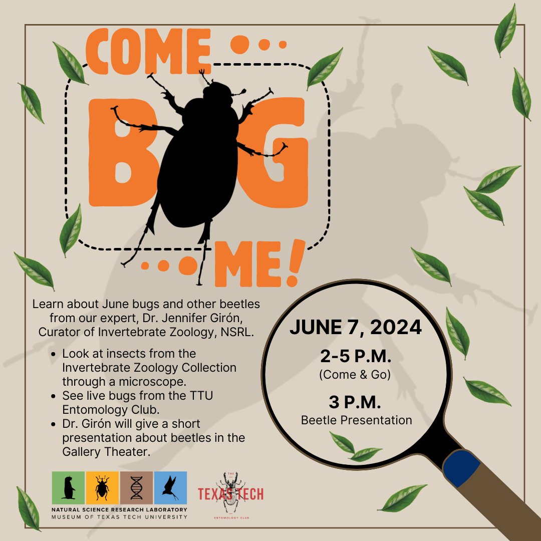 Come bug us on June 7!

#comebugme #invertebrate #zoology #entomology #museumttu #texastech #lubbocktx