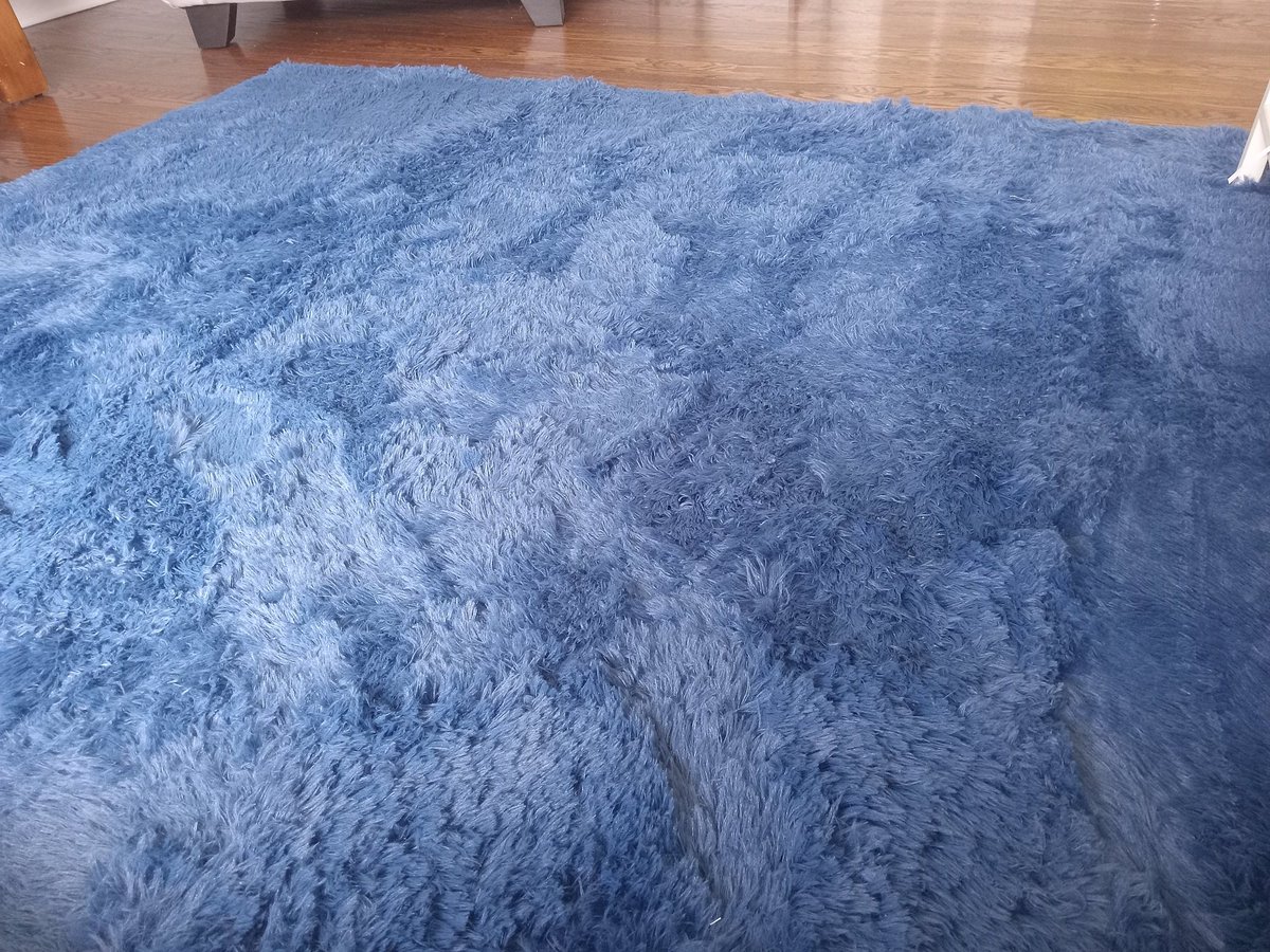 She's bought a new rug.
It's very blue...
