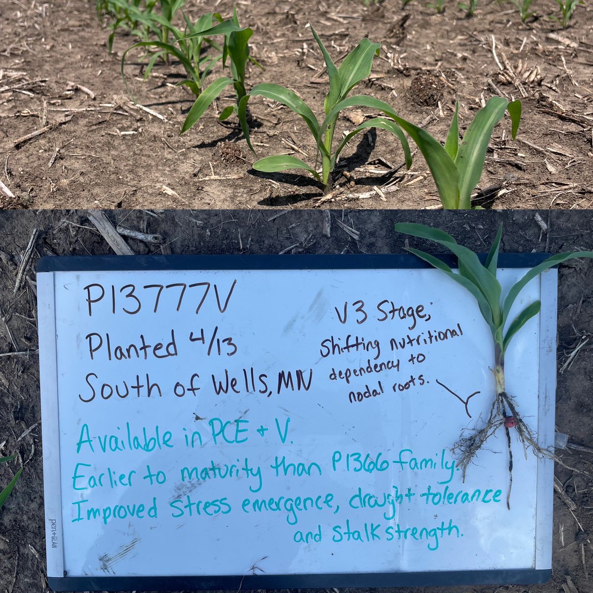 Ashley Storby (@ashleystorby) on Twitter photo 