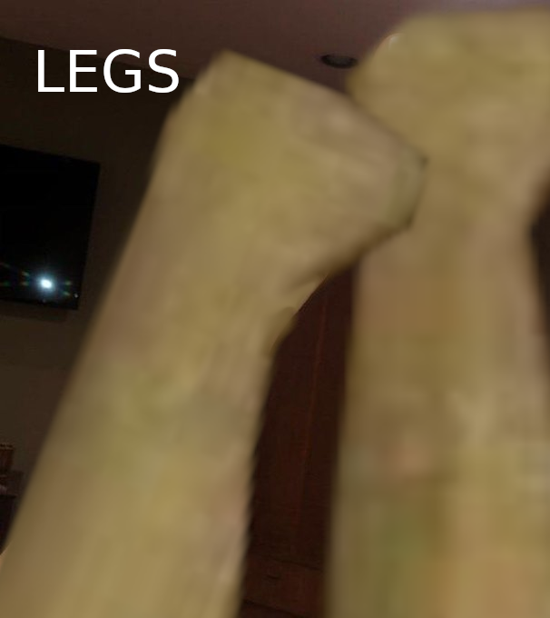 etinarcadiaego tweet media