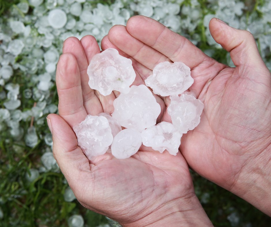 Concerned about hail damage to your roof? Don't hesitate to reach out to Morrison Roofing & Solar for a free roof inspection. It's always best to assess the damage before contacting your insurance company. #roofing #haildamage #professionalservices