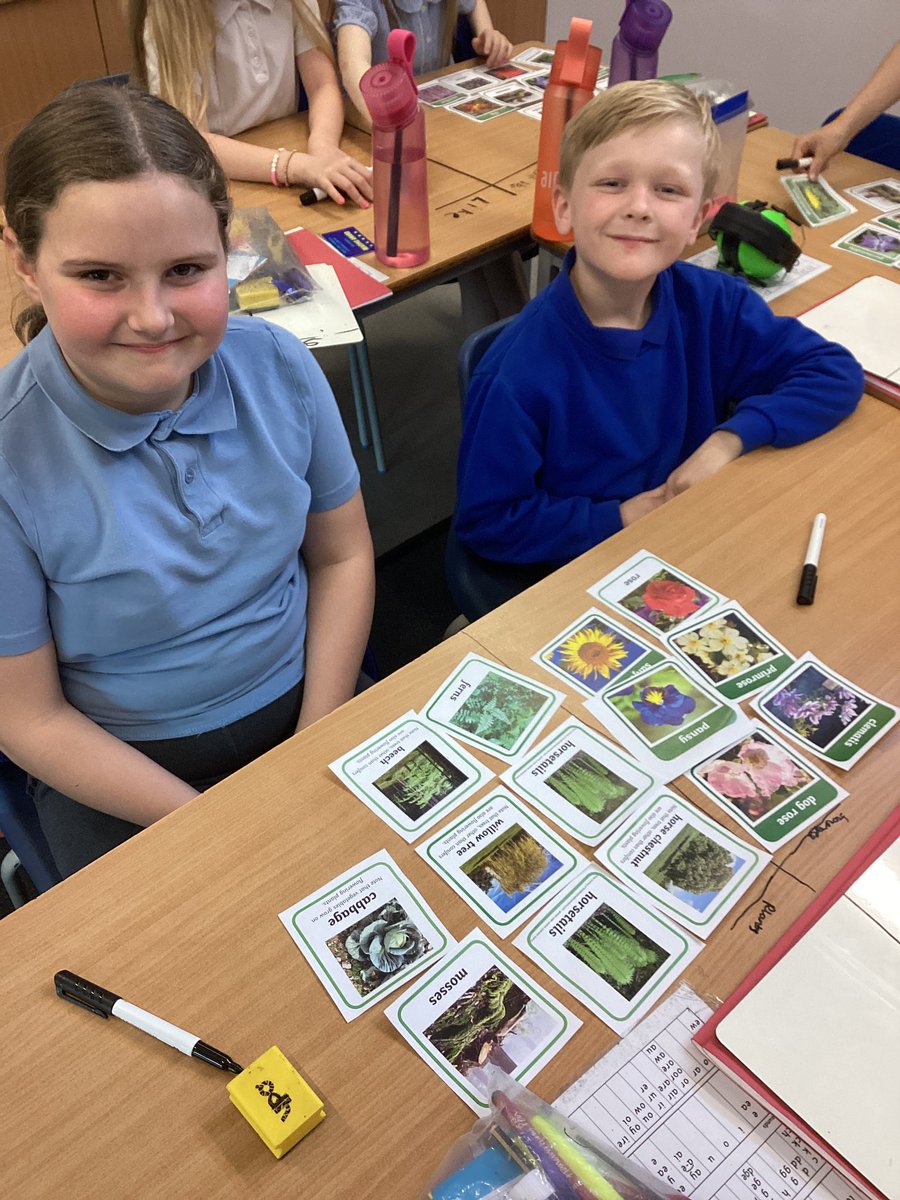 HighViewY4's tweet photo. We have been classifying plants in science https://t.co/2yYOadj4kS