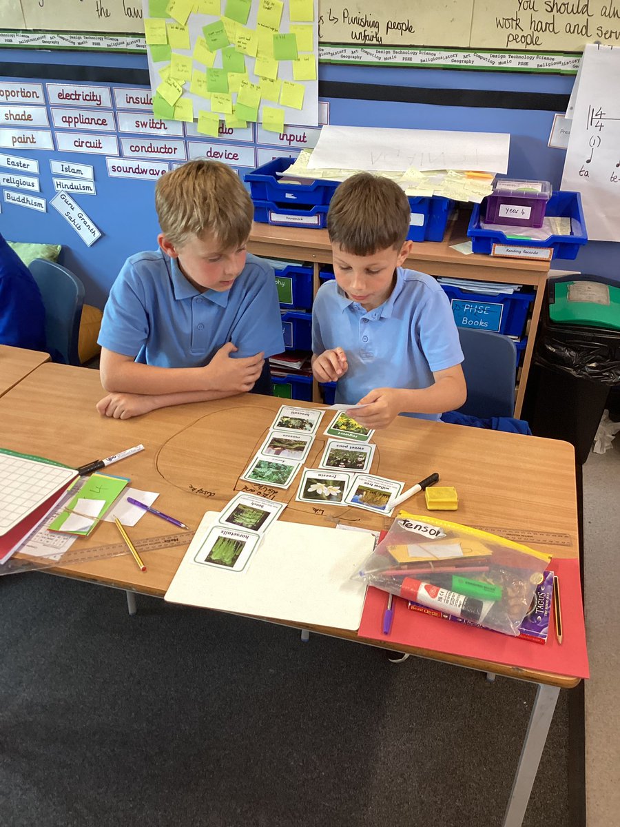HighViewY4's tweet photo. We have been classifying plants in science https://t.co/2yYOadj4kS