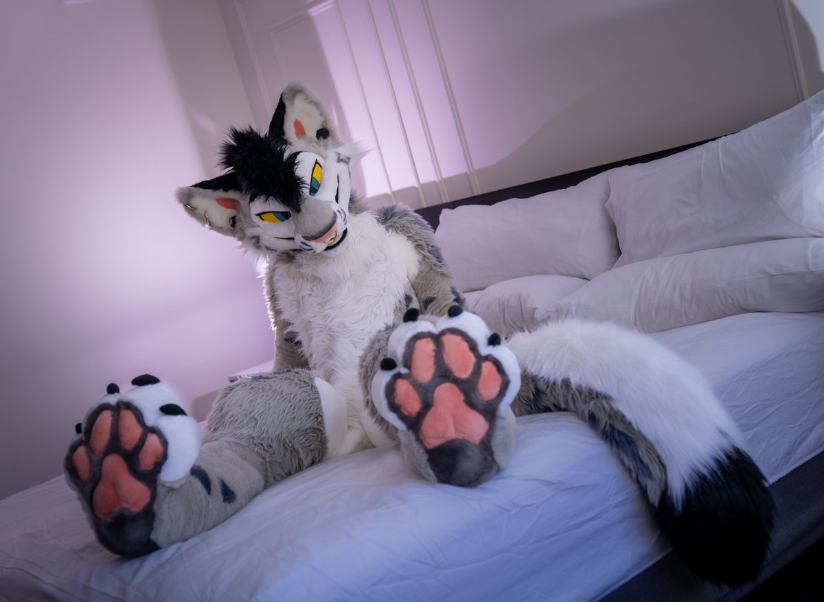 If you keep staring at them like that, you'll find these on your face.

#PawDay
📸: <a href="/StellarAntares/">Antares 🔜 FWA</a>