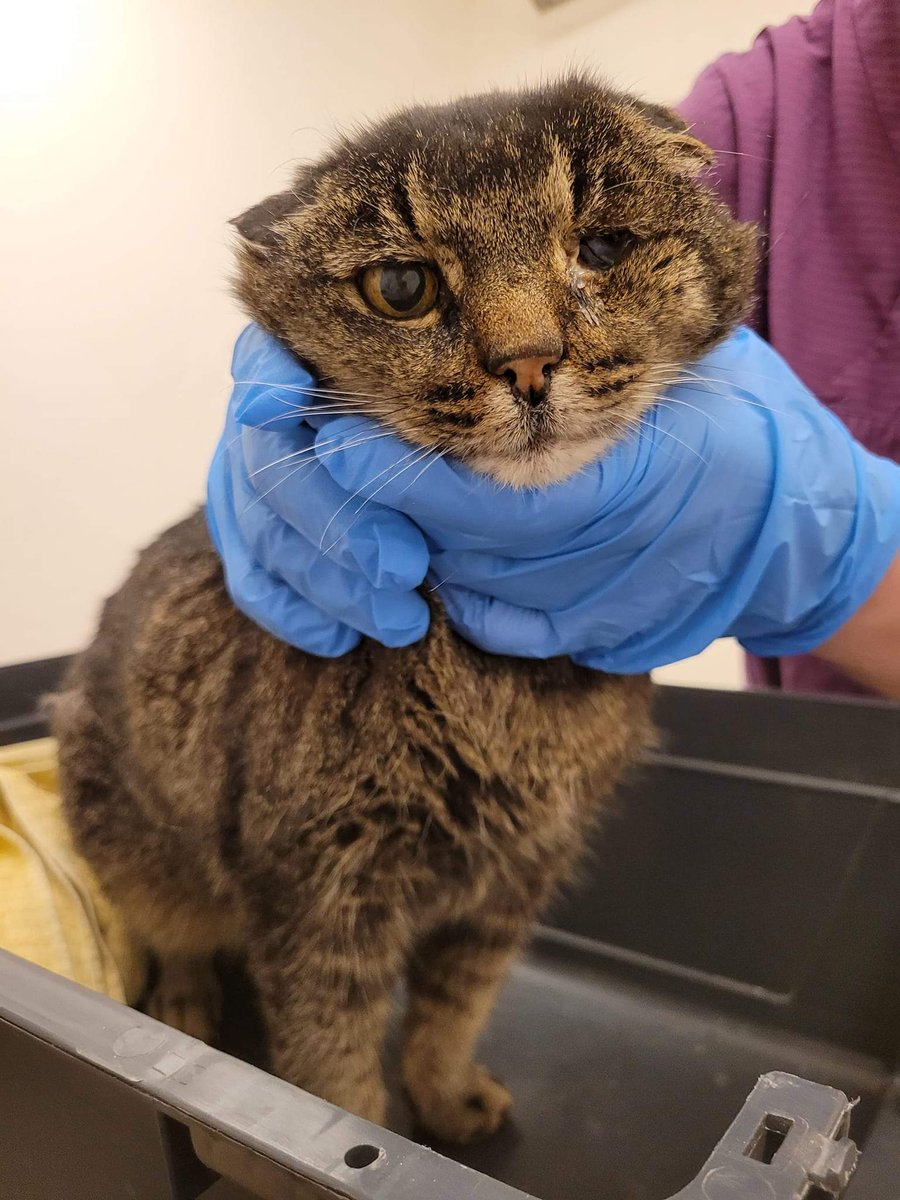 Anders Hagman tweet media