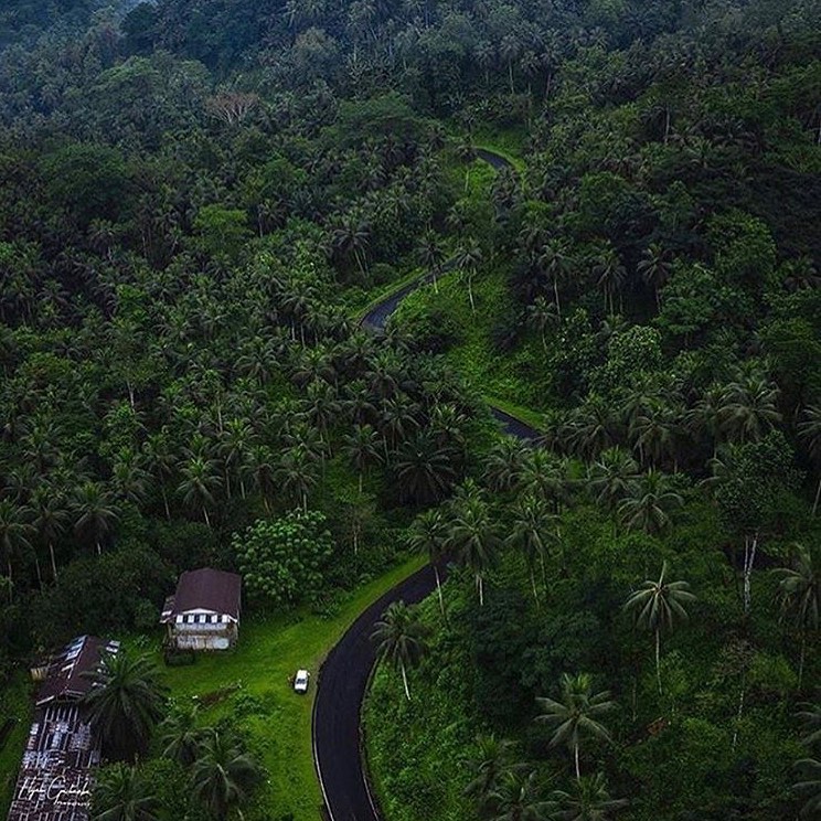 Africa Facts Zone tweet media