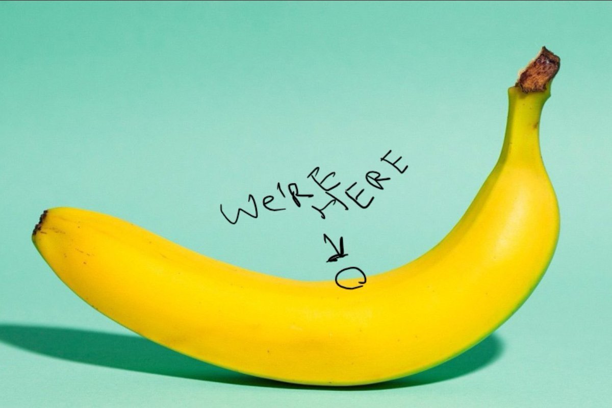 WallStreetBets tweet media