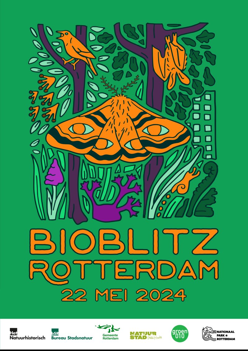 𝗡𝗶𝗲𝗹𝘀 𝗱𝗲 𝗭𝘄𝗮𝗿𝘁𝗲 tweet media