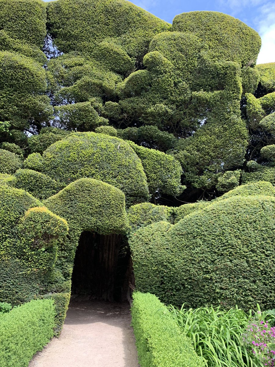 JSpencerTBH's tweet photo. Magnificent gardens @PowisCastleNT accompanied by #CliveofIndia exhibition = perfect @nationaltrust day out. Will even forgive them running out of #scones! https://t.co/An7R85G27B