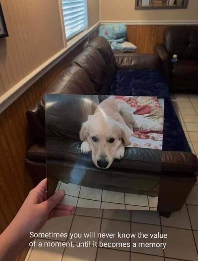 :'(