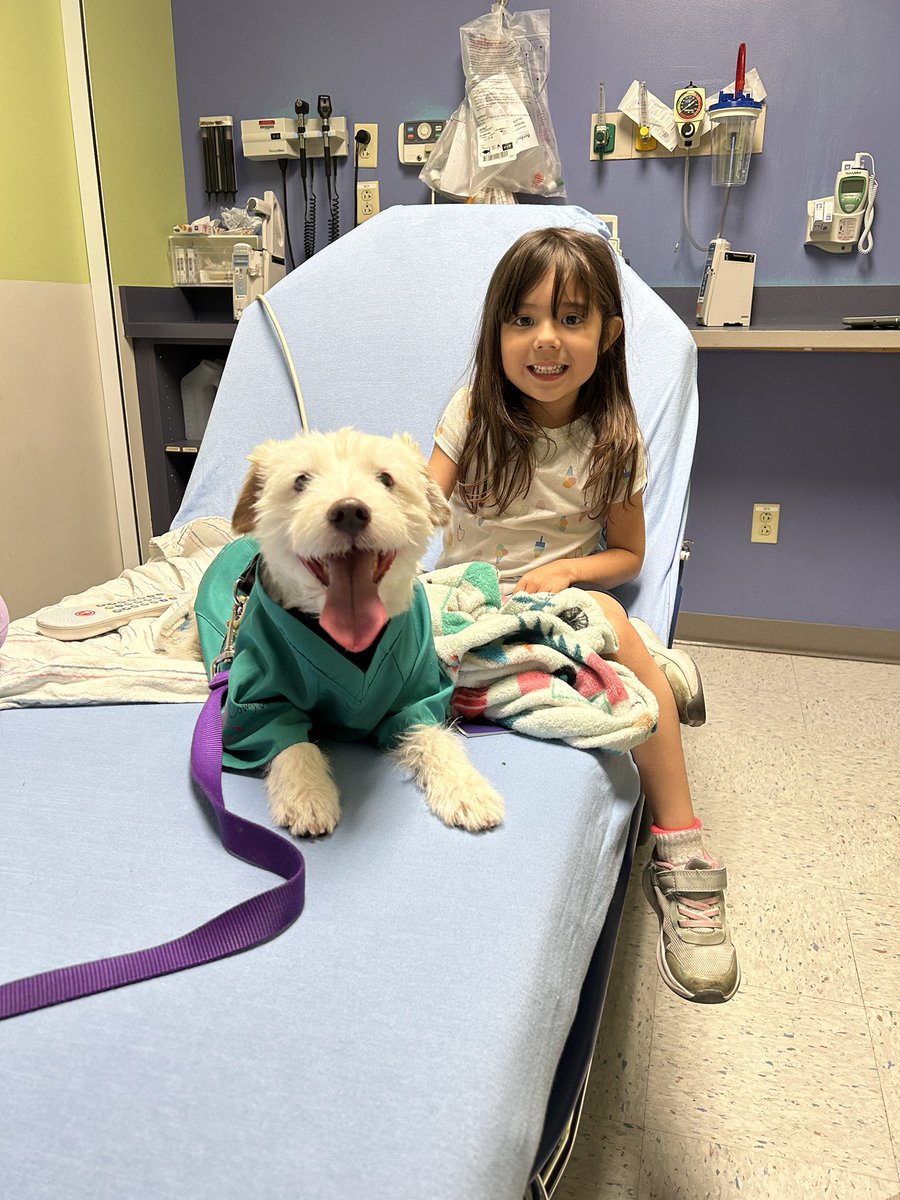 Today on my rounds at Summerlin Hospital I saw Nurse Hillary, Nurse Sheila, and I made a new friend while working the Pediatric ER! Have a great week everyone! ~ Deke🐾 #TherapyDog #IAmATherapyDog #PawYouNeedIsLove