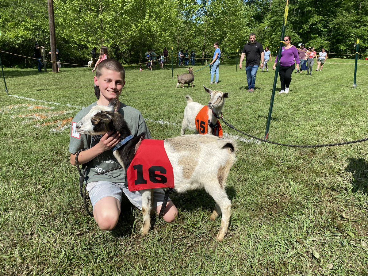 SenatorMuth's tweet photo. #TeamMuth was on-hand at the Coventry Woods festivalโs annual goat race, which crowned its new champion, Bluey! ๐
Bluey left his competitors in the dust in the most exciting 10 seconds in sports entertainment. Congratulations, Bluey! Hereโs to another year of grazing glory! ๐ https://t.co/sA3wW02NUa