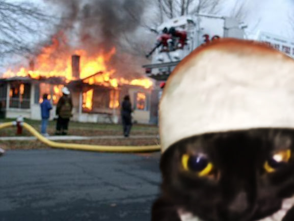 Community Burn Program

We keep considering the ideas contemplated by the precious Coodie community. After careful consideration and the supervision of the Coodie Team, the Coodie Team decided to introduce the Coodie Community Burn program.

Each of our team members will burn
