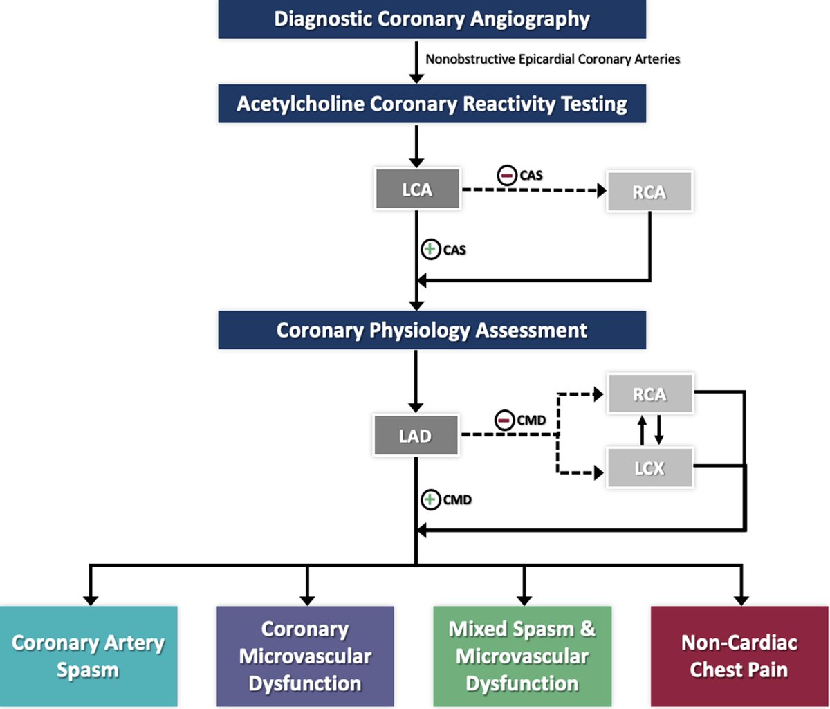 🔬📚 New study in #JACCINT shows that multivessel coronary function testing improves diagnosis in angina patients with nonobstructive coronary arteries! More insights into coronary vasomotor dysfunction and artery spasm! 💡 bit.ly/3QQsI6L #ANOCA #CardioTwitter #ACCFIT