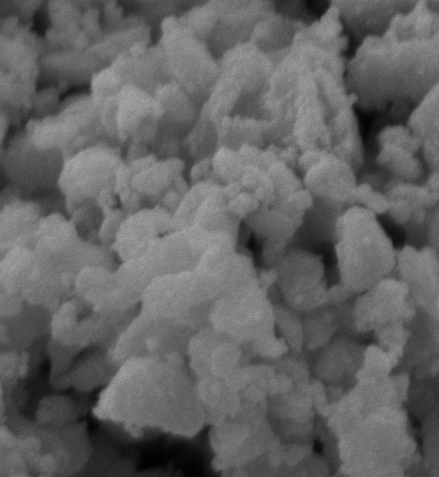 Julian Rengifo tweet media