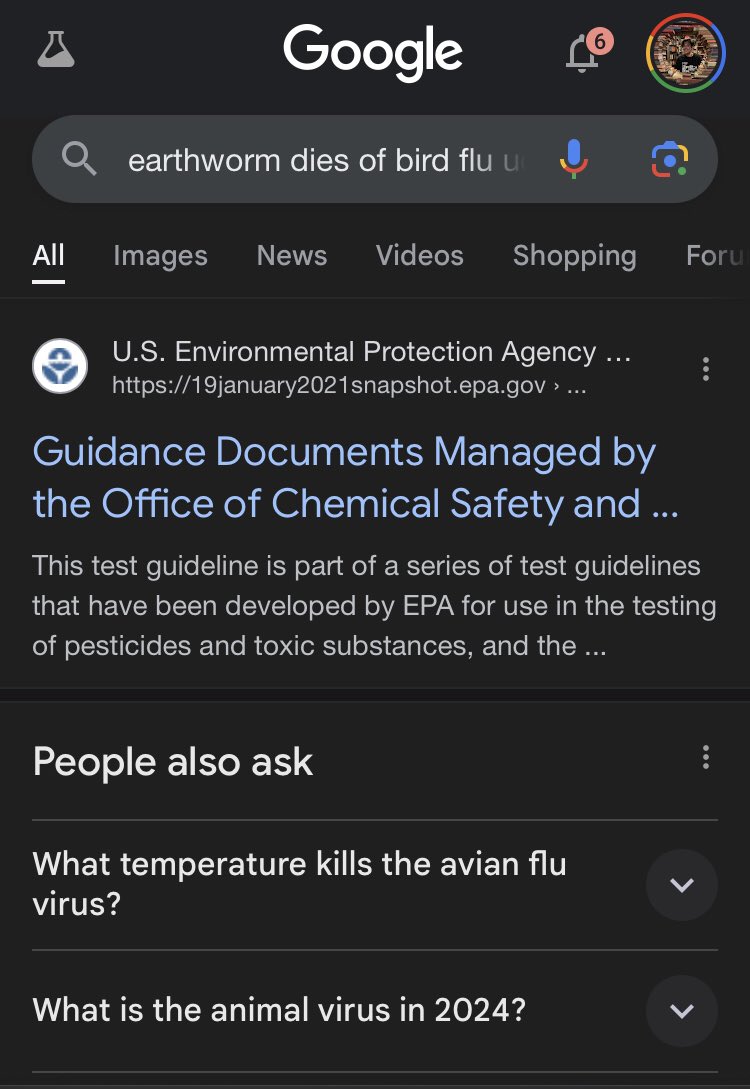 TheMcKenziest's tweet image. It works lol

New search                         After adding udm=14