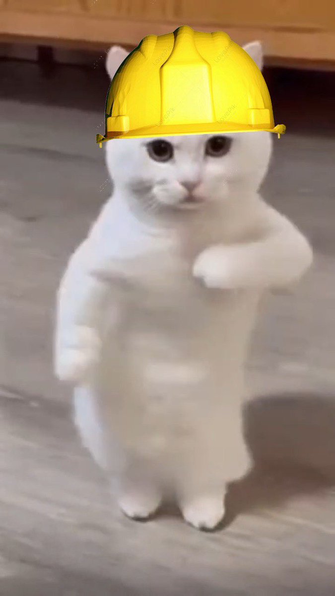 Dancing Cat | $DCAT tweet media