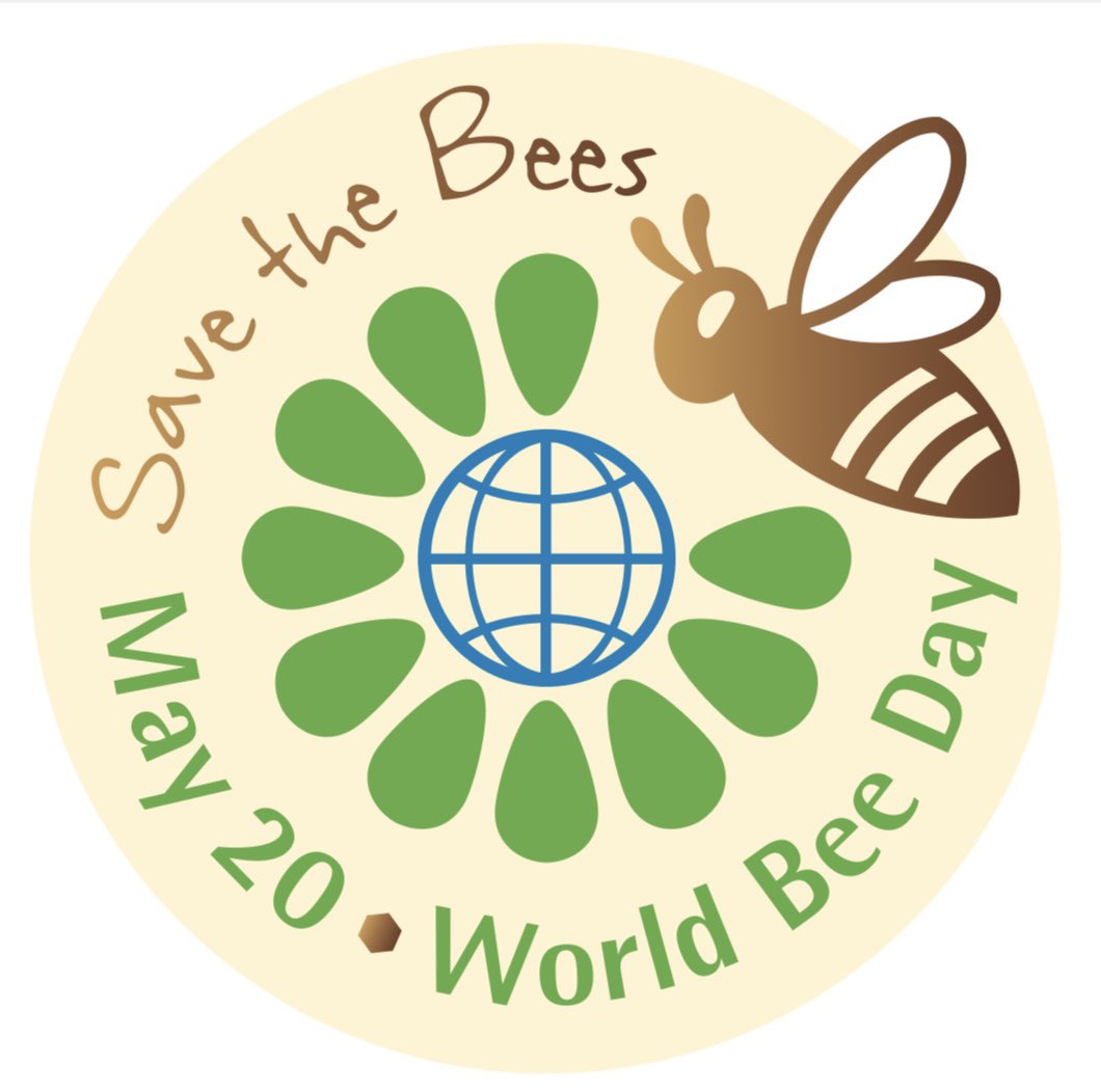 As it’s #WorldBeeDay here’s a few photos of my #beekeeping life @britishbee @ThorneBeehives @BeeCraftMag @BeekeepersHour
