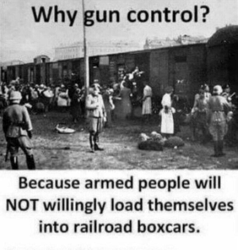 @bfraser747 If you don't believe in the Second Amendment, then pack your bags and get ready to be loaded onto the rail cars and off to the death camps⚰️