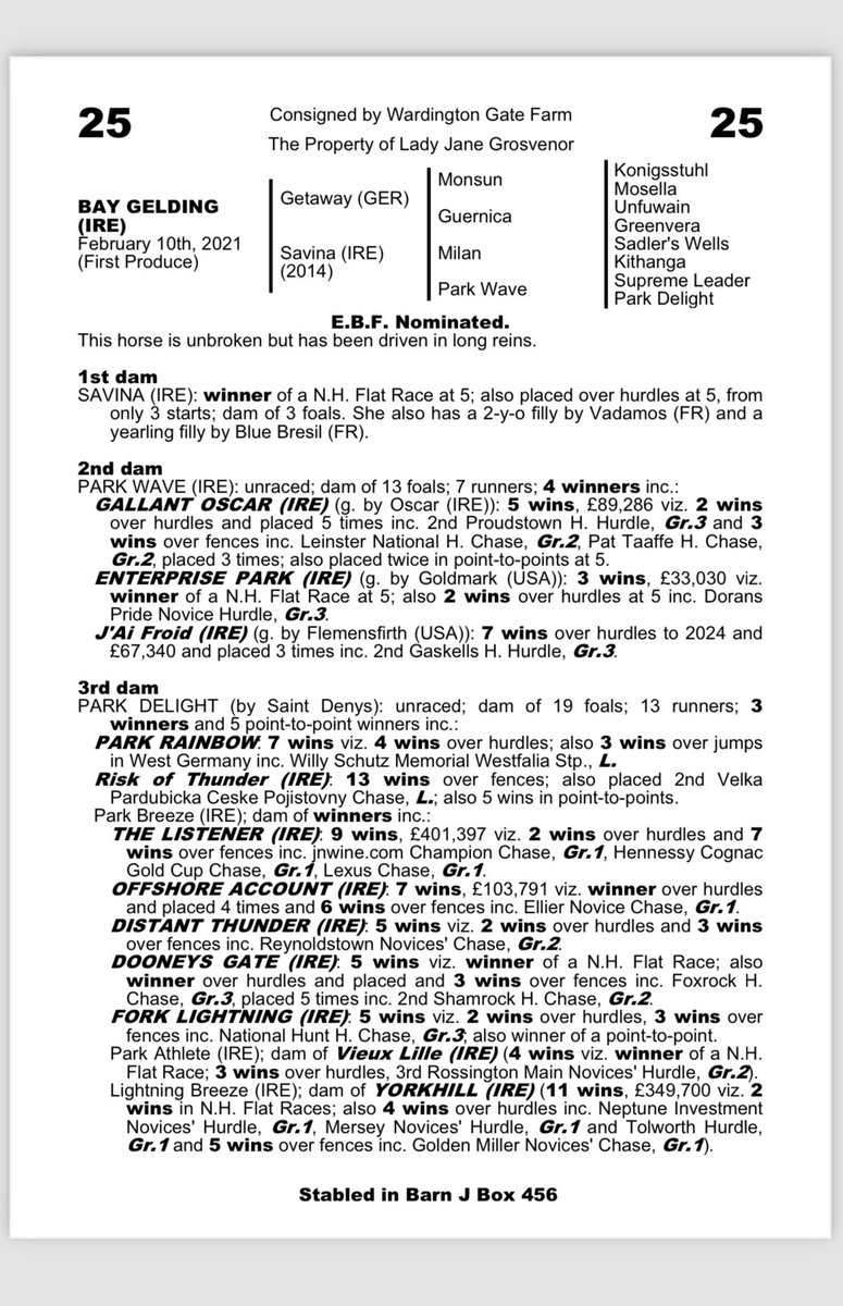🌟SELLING TOMORROW🌟 3yr old Getaway/Savina Lot 25 <a href="/GoffsUK/">Goffs UK</a> Doncaster. This cracking forward going strong gelding with plenty of black type on the page goes in the ring early tomorrow (Tuesday). he’s unbroken but has been driven in long reins and is well handled. <a href="/bencaseracing/">Ben Case</a>
