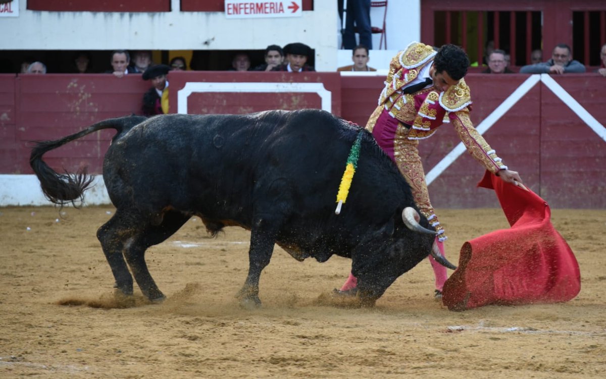 aplausos's tweet photo. ✍️CRÓNICA FERIA DE PENTECOSTÉS I Morenito y Saltacancelas, los hitos de la Feria de Vic-Fezensac
💠Por Jean Louis Haurat
@TorosEnVic @Morenitofi24 @RomanCollado #ElRafi
https://t.co/HCUKhgMsb5 https://t.co/8XeItAle9v